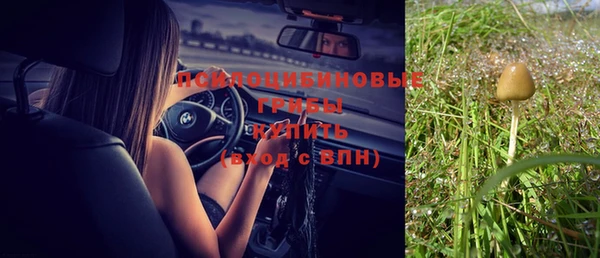 альфа пвп Новодвинск