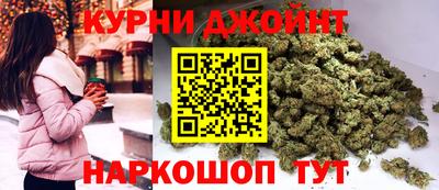 гашик Тулун